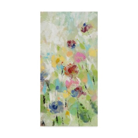 Silvia Vassileva 'Springtime Meadow Flowers III' Canvas Art,24x47